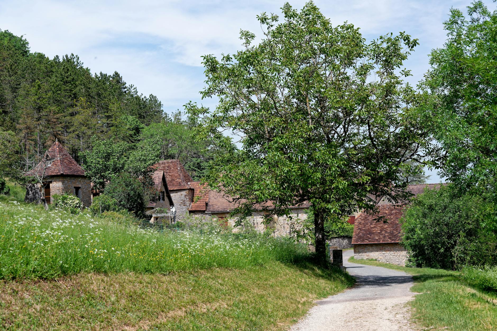 Picturesque view of a quaint village street and greenery in Loubressac, Occitanie, France.