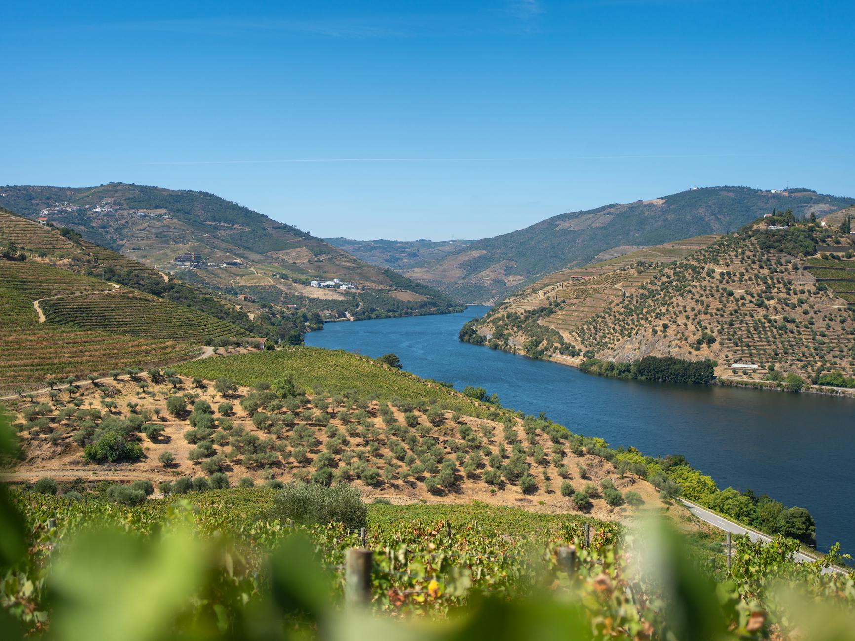 Beautiful view of the Douro River flanked by vineyards in Porto, Portugal.