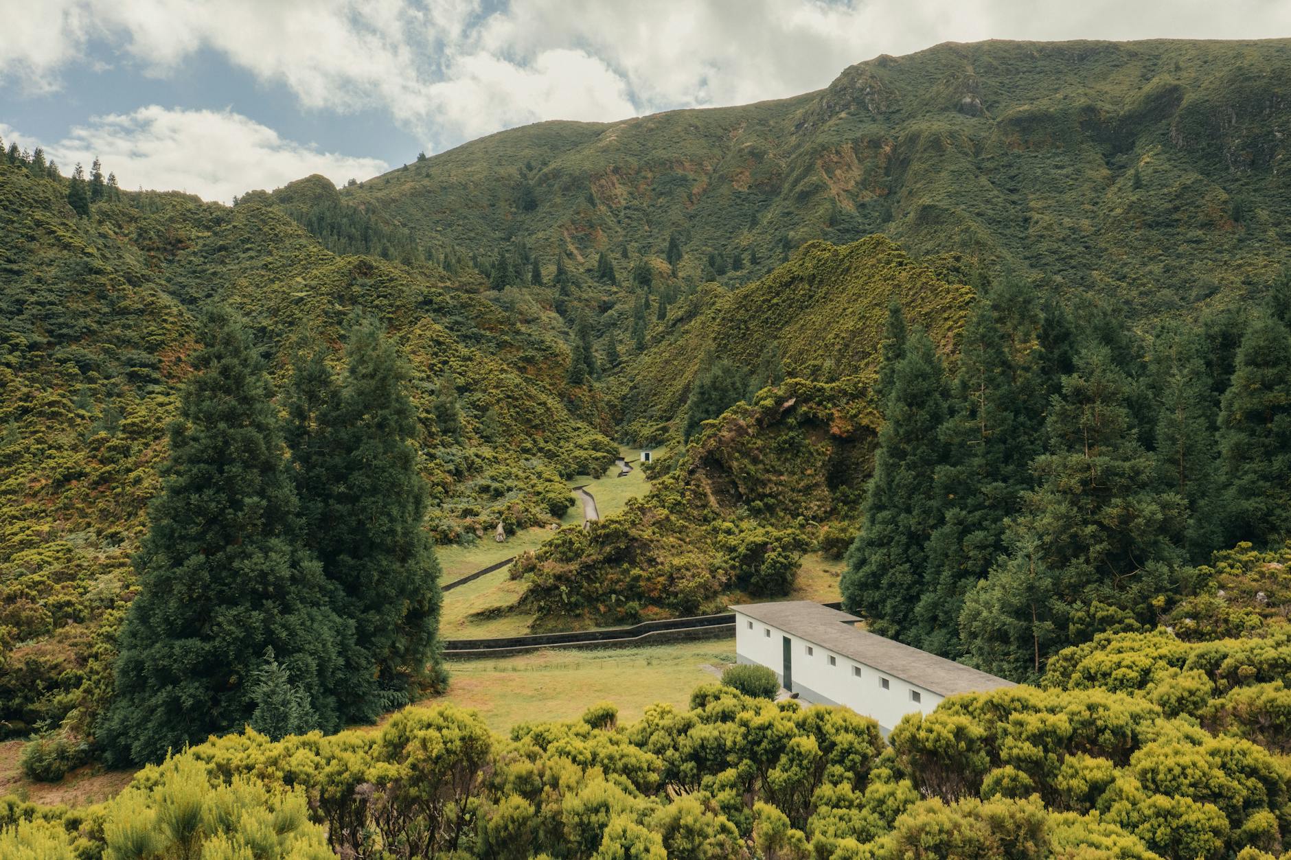 A picturesque landscape of verdant hills and dense forests in the Azores, Portugal.