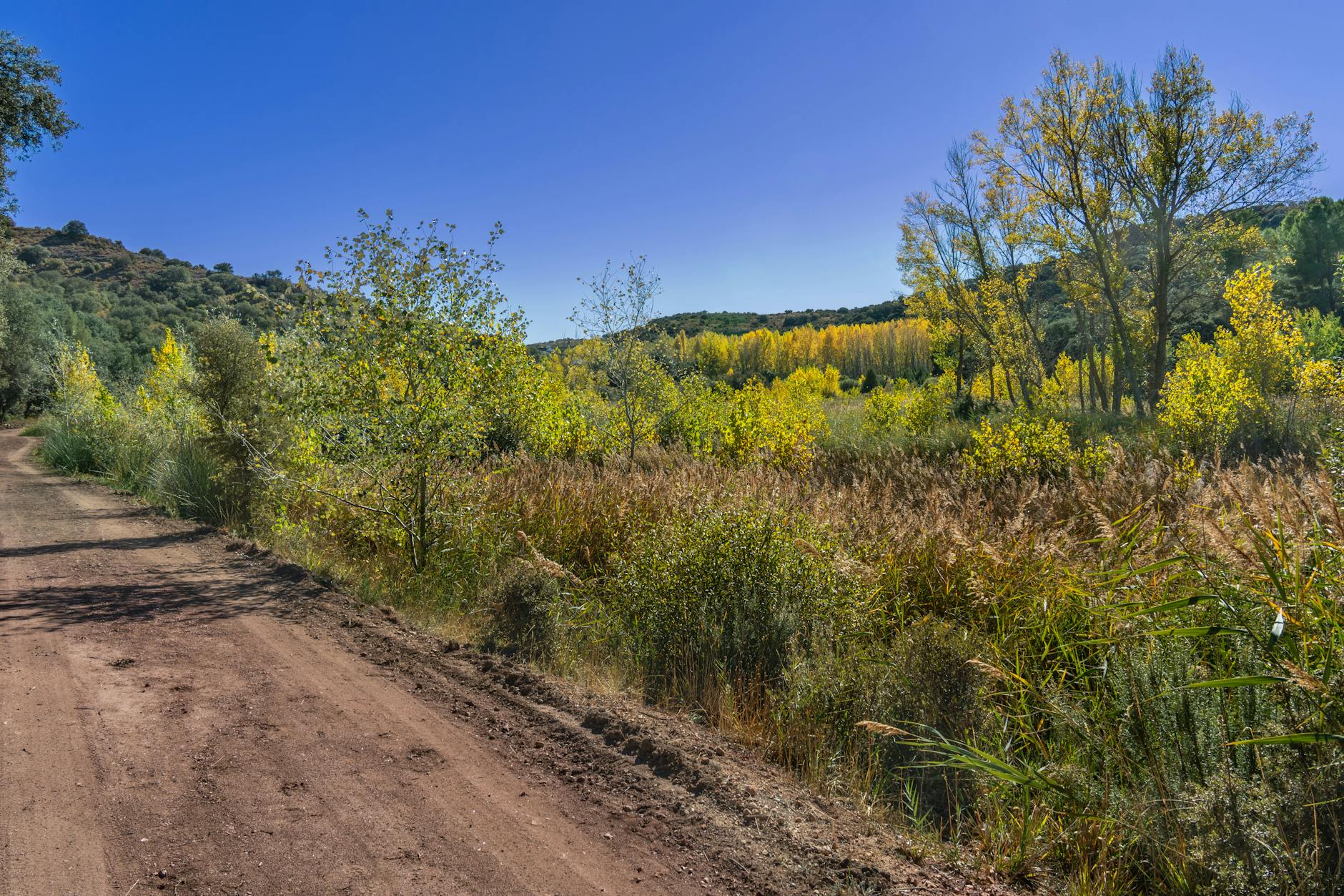 Tranquil autumn landscape with vibrant foliage in Ruidera, Spain.