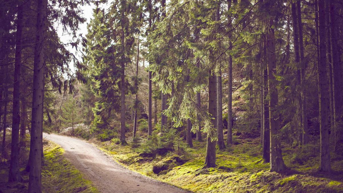 The Ultimate Europe Packing List for Summer 2026 Common Packing Mistakes to Avoid