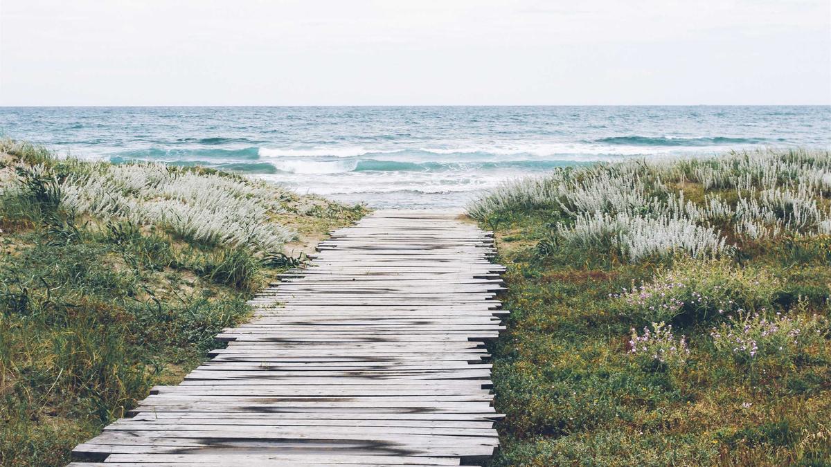 Summer Bucket List Ideas for 2026 6. Culinary Tours in Coastal Maine