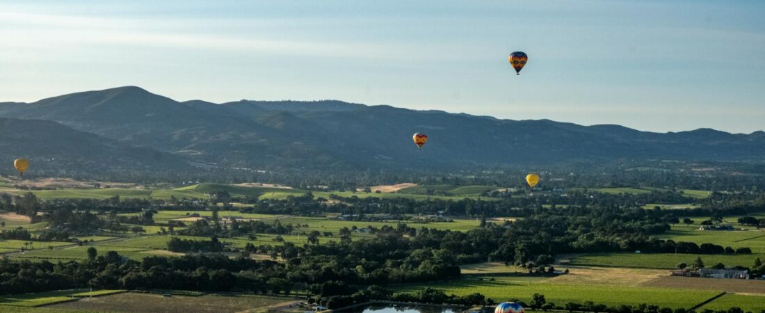 Napa Valley Summer Travel Guide