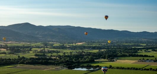 Napa Valley Summer Travel Guide