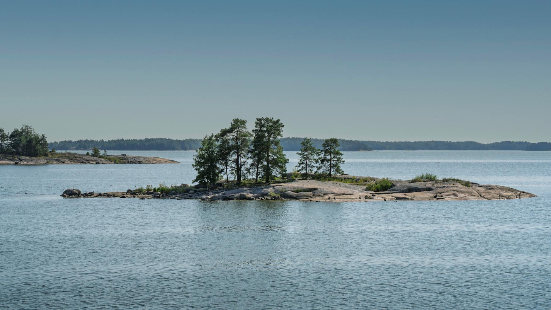 Peaceful island with trees in the Finnish archipelago during a bright summer day.