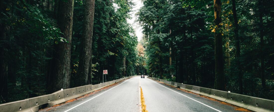 The Ultimate PNW Summer Travel Guide