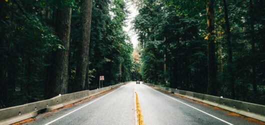 The Ultimate PNW Summer Travel Guide